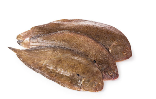 Sliptong