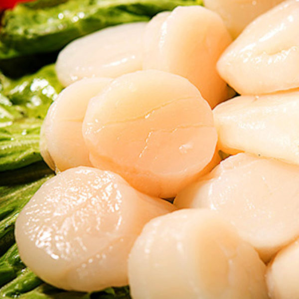 Coquilles