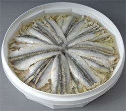 Gemarineerde Ansjovis knoflook