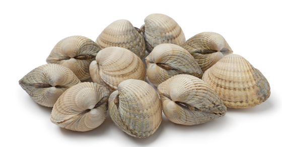Kokkels per kilo