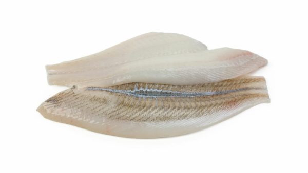 Scholfilet zonder huid
