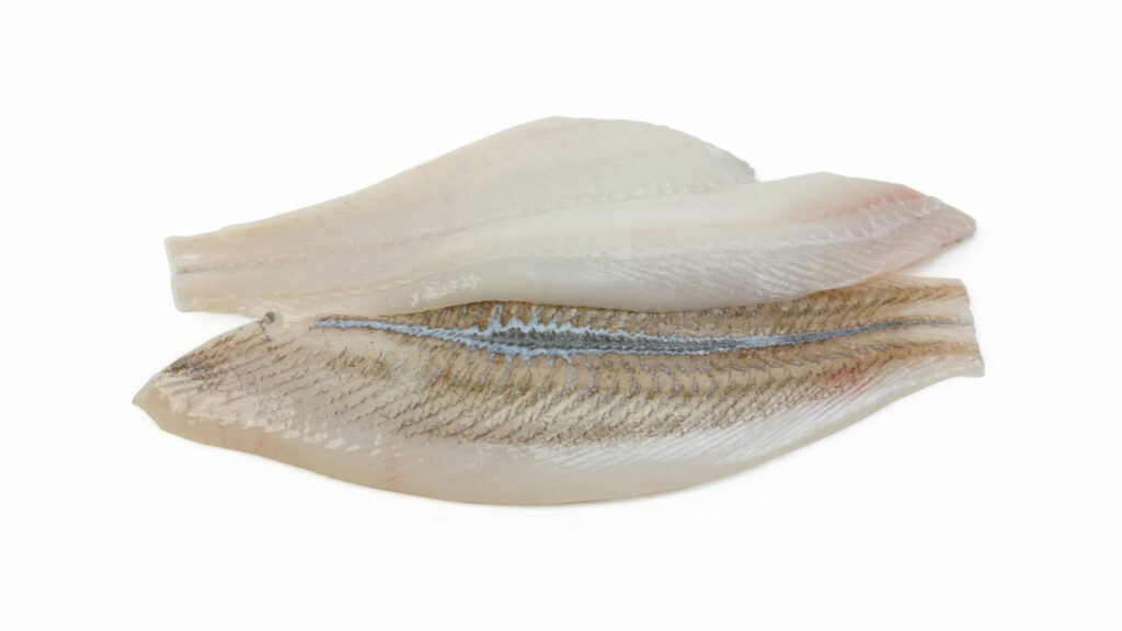 Scholfilet zonder huid