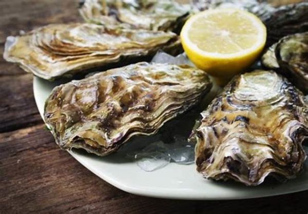 Wadden Oester